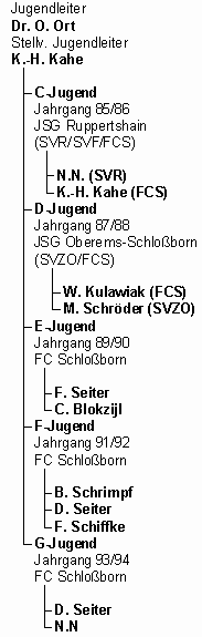 Der Organisationsplan
